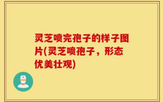 灵芝喷完孢子的样子图片(灵芝喷孢子，形态优美壮观)