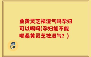 桑黄灵芝祛湿气吗孕妇可以喝吗(孕妇能不能喝桑黄灵芝祛湿气？)
