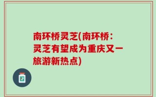 南环桥灵芝(南环桥：灵芝有望成为重庆又一旅游新热点)