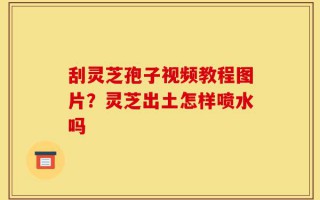 刮灵芝孢子视频教程图片？灵芝出土怎样喷水吗