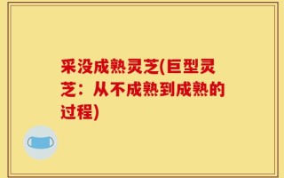采没成熟灵芝(巨型灵芝：从不成熟到成熟的过程)
