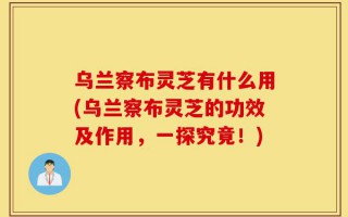 乌兰察布灵芝有什么用(乌兰察布灵芝的功效及作用，一探究竟！)