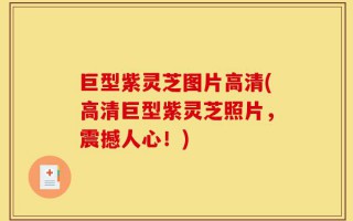 巨型紫灵芝图片高清(高清巨型紫灵芝照片，震撼人心！)
