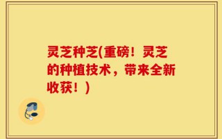 灵芝种芝(重磅！灵芝的种植技术，带来全新收获！)