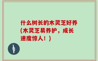 什么树长的木灵芝好养(木灵芝易养护，成长速度惊人！)