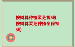 桉树林种植灵芝视频(桉树林灵芝种植全程视频)