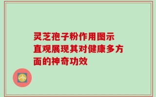 灵芝孢子粉作用图示 直观展现其对健康多方面的神奇功效