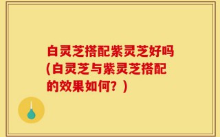 白灵芝搭配紫灵芝好吗(白灵芝与紫灵芝搭配的效果如何？)
