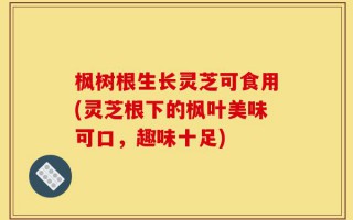 枫树根生长灵芝可食用(灵芝根下的枫叶美味可口，趣味十足)