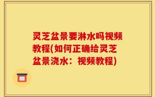 灵芝盆景要淋水吗视频教程(如何正确给灵芝盆景浇水：视频教程)