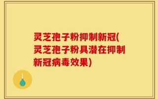 灵芝孢子粉抑制新冠(灵芝孢子粉具潜在抑制新冠病毒效果)