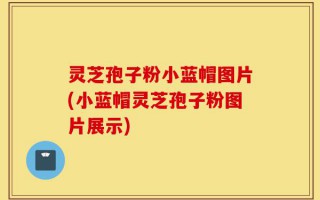 灵芝孢子粉小蓝帽图片(小蓝帽灵芝孢子粉图片展示)