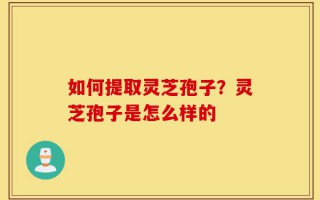 如何提取灵芝孢子？灵芝孢子是怎么样的