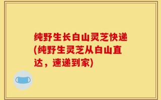 纯野生长白山灵芝快递(纯野生灵芝从白山直达，速递到家)