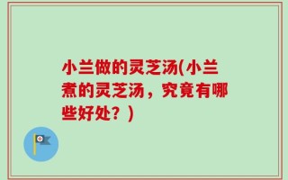 小兰做的灵芝汤(小兰煮的灵芝汤，究竟有哪些好处？)