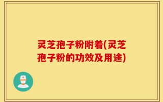 灵芝孢子粉附着(灵芝孢子粉的功效及用途)
