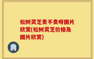 松树灵芝贵不贵呀图片欣赏(松树灵芝价格及图片欣赏)