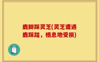 鹿脚踩灵芝(灵芝遭遇鹿踩踏，栖息地受损)