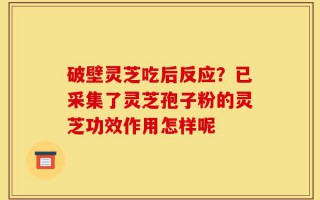 破壁灵芝吃后反应？已采集了灵芝孢子粉的灵芝功效作用怎样呢