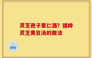 灵芝孢子薏仁酒？猪蹄灵芝黄豆汤的做法