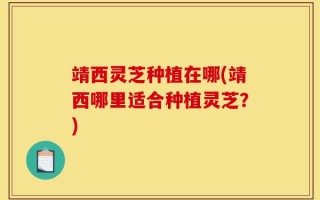 靖西灵芝种植在哪(靖西哪里适合种植灵芝？)