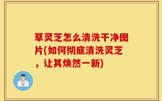 草灵芝怎么清洗干净图片(如何彻底清洗灵芝，让其焕然一新)