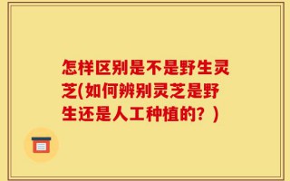 怎样区别是不是野生灵芝(如何辨别灵芝是野生还是人工种植的？)