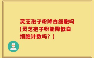 灵芝孢子粉降白细胞吗(灵芝孢子粉能降低白细胞计数吗？)