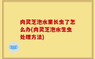 肉灵芝泡水里长虫了怎么办(肉灵芝泡水生虫处理方法)
