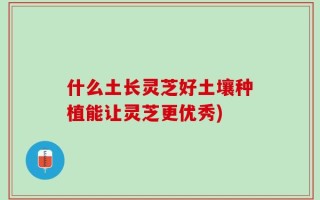什么土长灵芝好土壤种植能让灵芝更优秀)