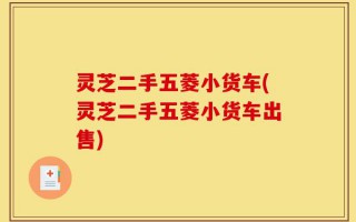 灵芝二手五菱小货车(灵芝二手五菱小货车出售)
