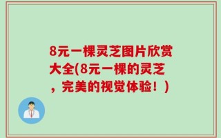 8元一棵灵芝图片欣赏大全(8元一棵的灵芝，完美的视觉体验！)