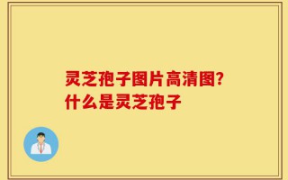 灵芝孢子图片高清图？什么是灵芝孢子
