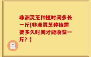 非洲灵芝种植时间多长一斤(非洲灵芝种植需要多久时间才能收获一斤？)