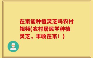 在家能种植灵芝吗农村视频(农村居民学种植灵芝，丰收在家！)