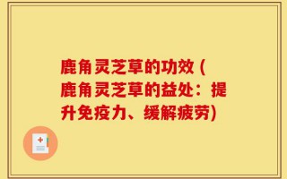 鹿角灵芝草的功效 (鹿角灵芝草的益处：提升免疫力、缓解疲劳)