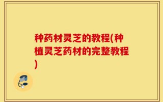 种药材灵芝的教程(种植灵芝药材的完整教程)