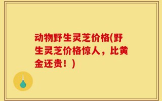 动物野生灵芝价格(野生灵芝价格惊人，比黄金还贵！)