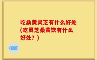吃桑黄灵芝有什么好处(吃灵芝桑黄饮有什么好处？)