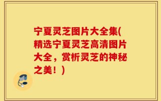 宁夏灵芝图片大全集(精选宁夏灵芝高清图片大全，赏析灵芝的神秘之美！)