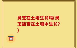 灵芝在土地生长吗(灵芝能否在土壤中生长？)
