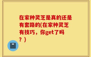 在家种灵芝是真的还是有套路的(在家种灵芝有技巧，你get了吗？)