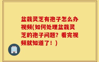 盆栽灵芝有孢子怎么办视频(如何处理盆栽灵芝的孢子问题？看完视频就知道了！)