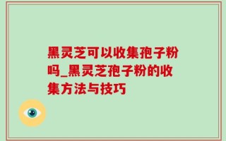 黑灵芝可以收集孢子粉吗_黑灵芝孢子粉的收集方法与技巧