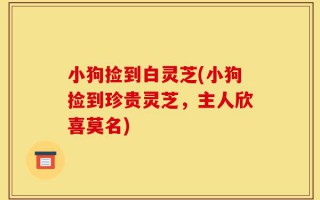 小狗捡到白灵芝(小狗捡到珍贵灵芝，主人欣喜莫名)