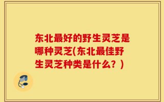 东北最好的野生灵芝是哪种灵芝(东北最佳野生灵芝种类是什么？)