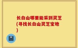 长白山哪里能采到灵芝(寻找长白山灵芝宝地)