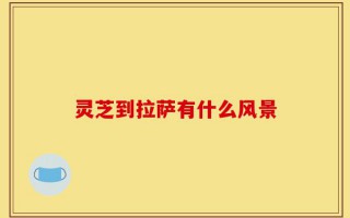 灵芝到拉萨有什么风景
