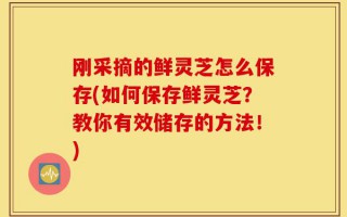 刚采摘的鲜灵芝怎么保存(如何保存鲜灵芝？教你有效储存的方法！)