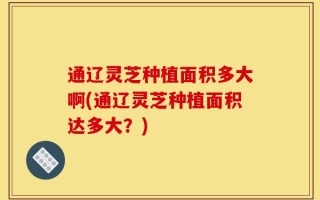通辽灵芝种植面积多大啊(通辽灵芝种植面积达多大？)
